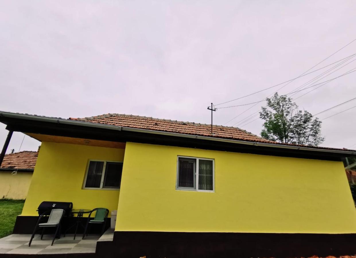 Appartement Casa Rusu à Malaesti Extérieur photo